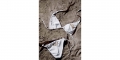 Huntington-Bikini-GrXL